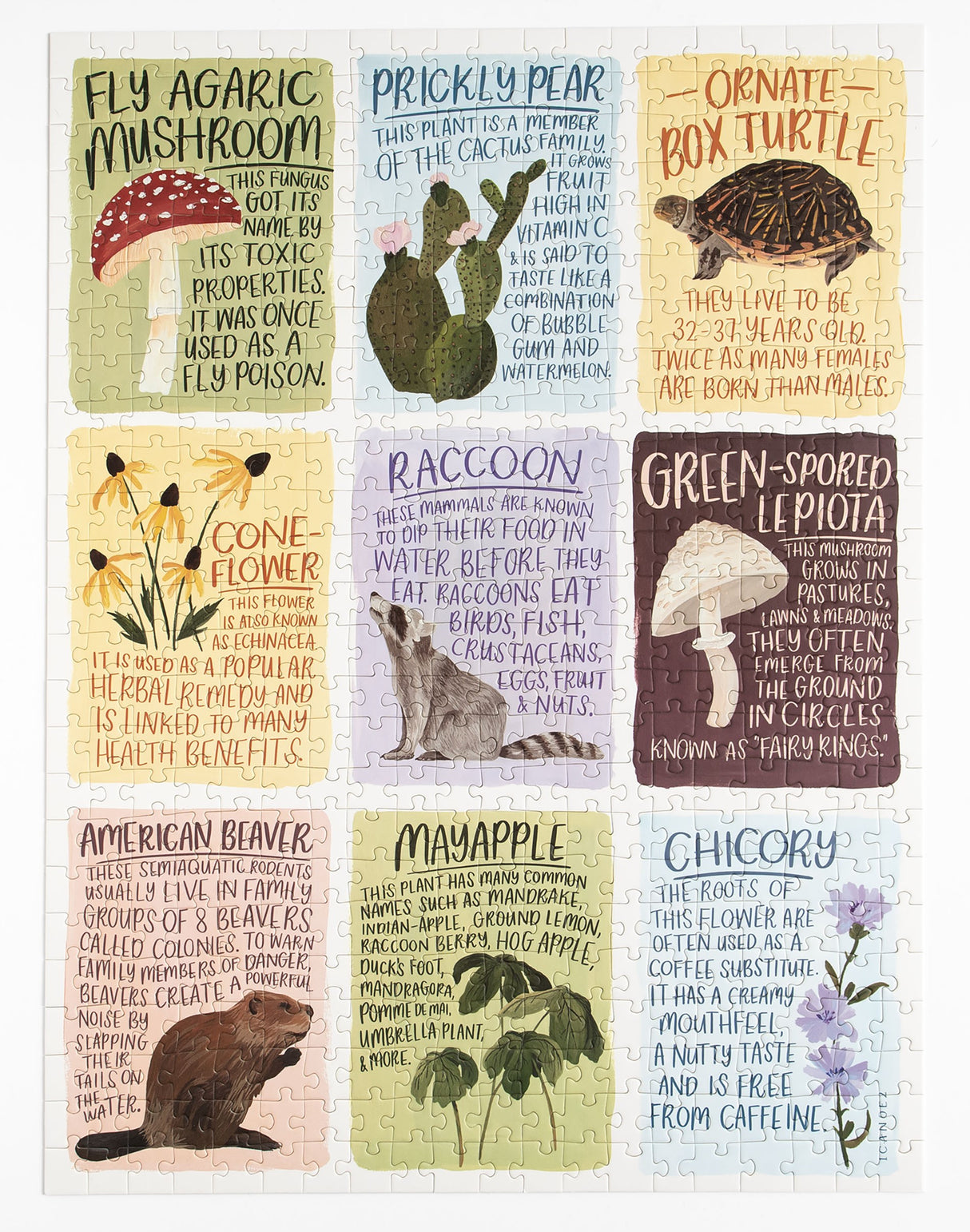 Flora & Fauna Facts - Casse-tête de 500 pièces