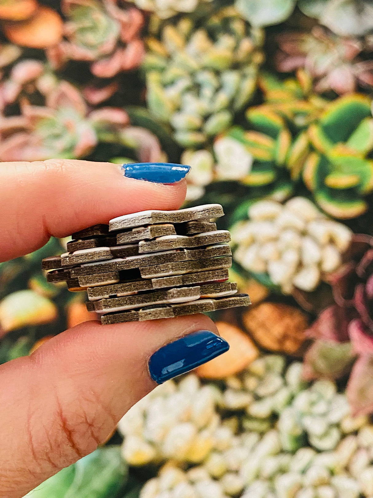 Desert Beauty - Casse-tête de 1000 pièces