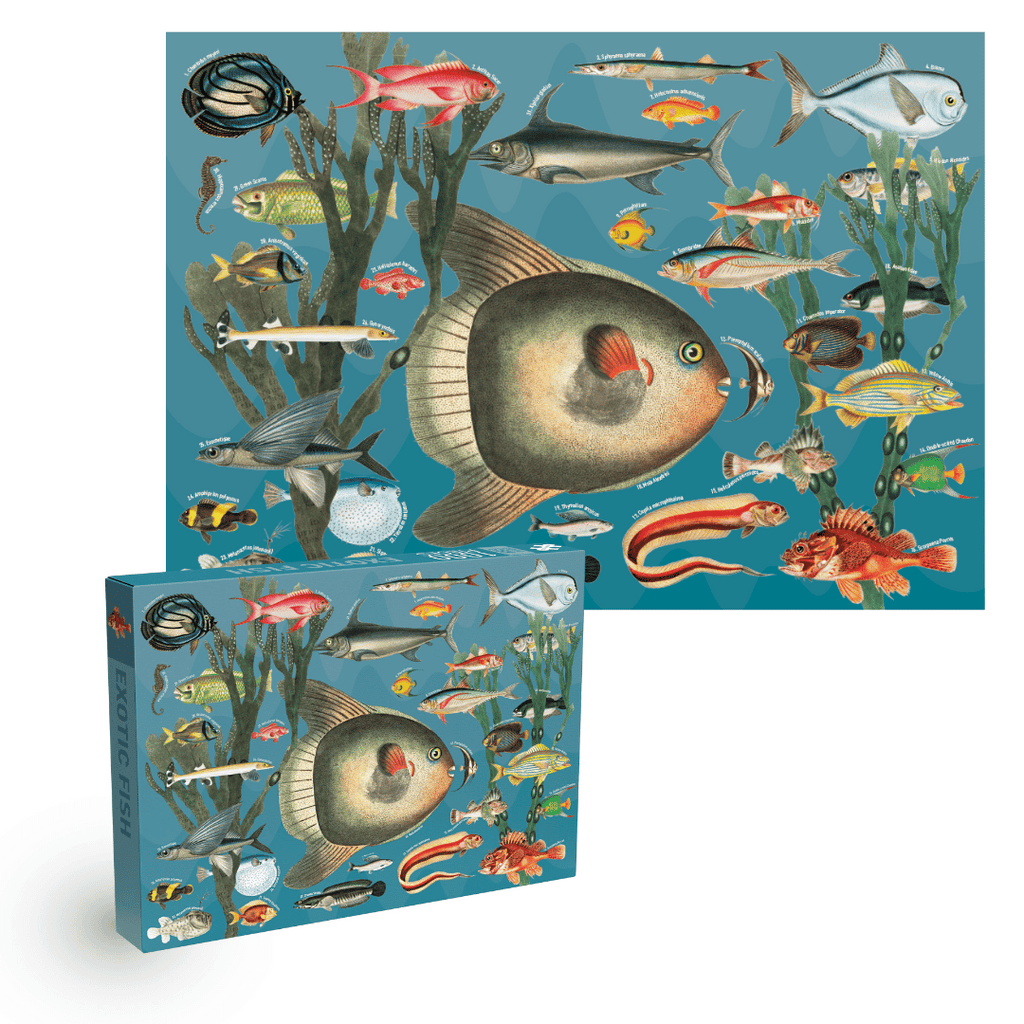 Exotic Fish 1000-Piece Puzzle