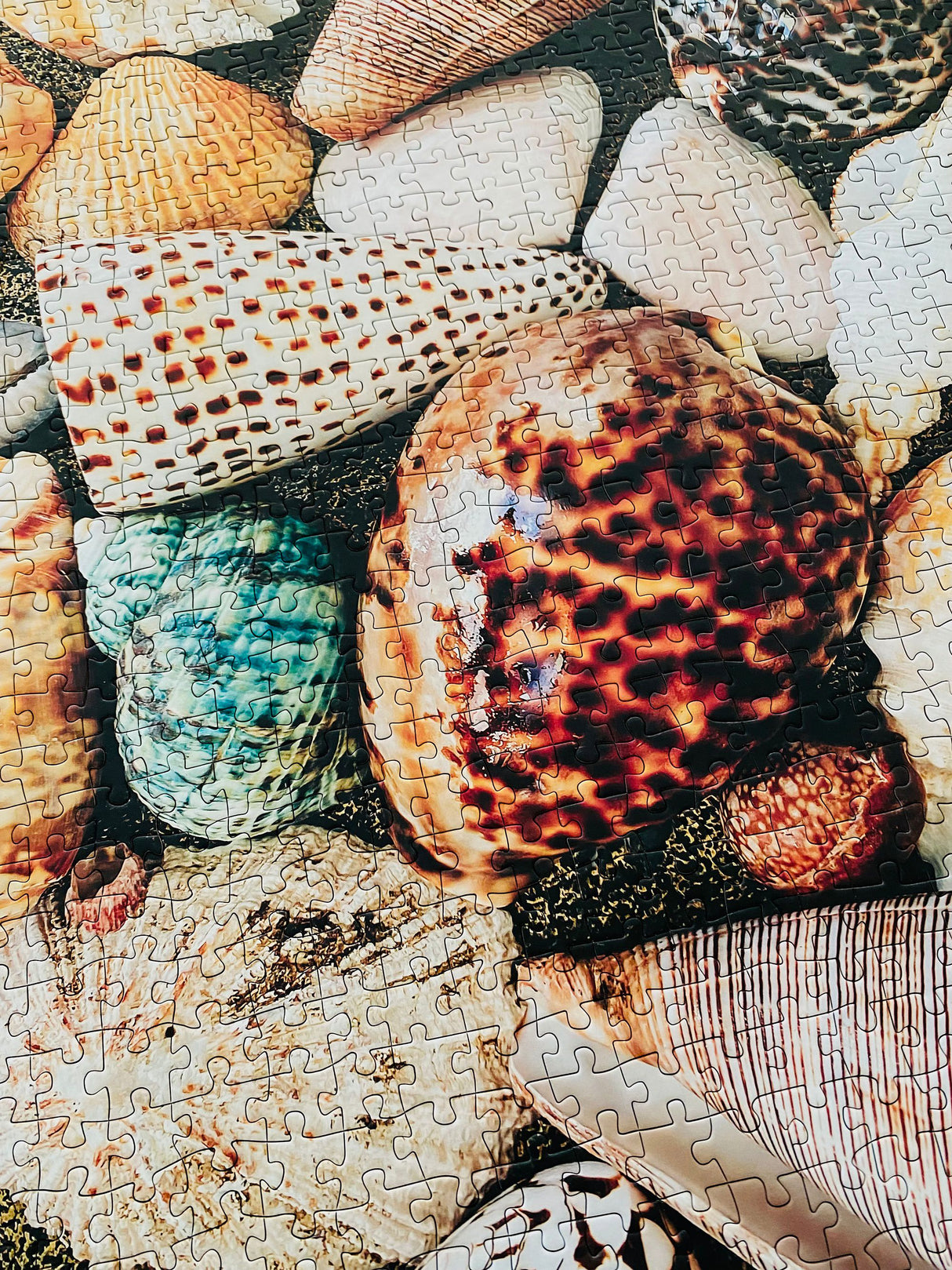 Sea Gems - Casse-tête de 1000 pièces