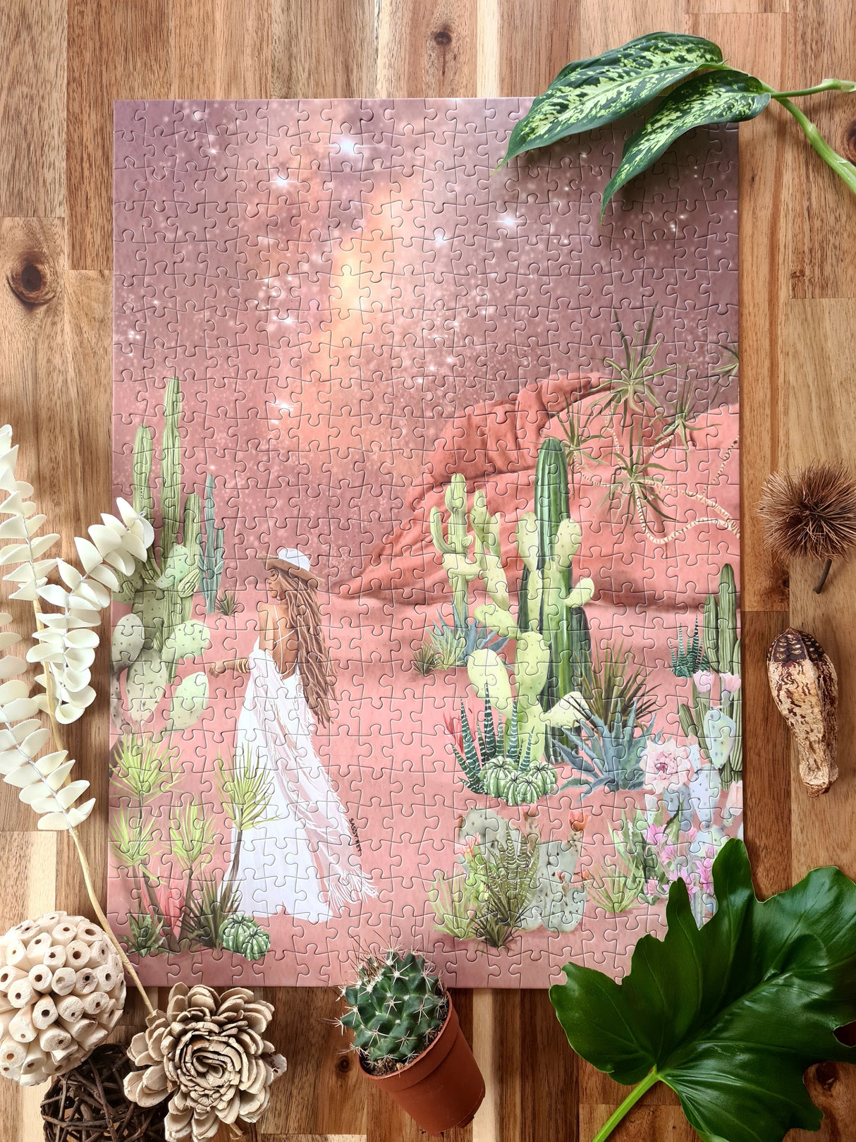 The Cactus Desert - 3 Casse-tête de 500/1000 pièces