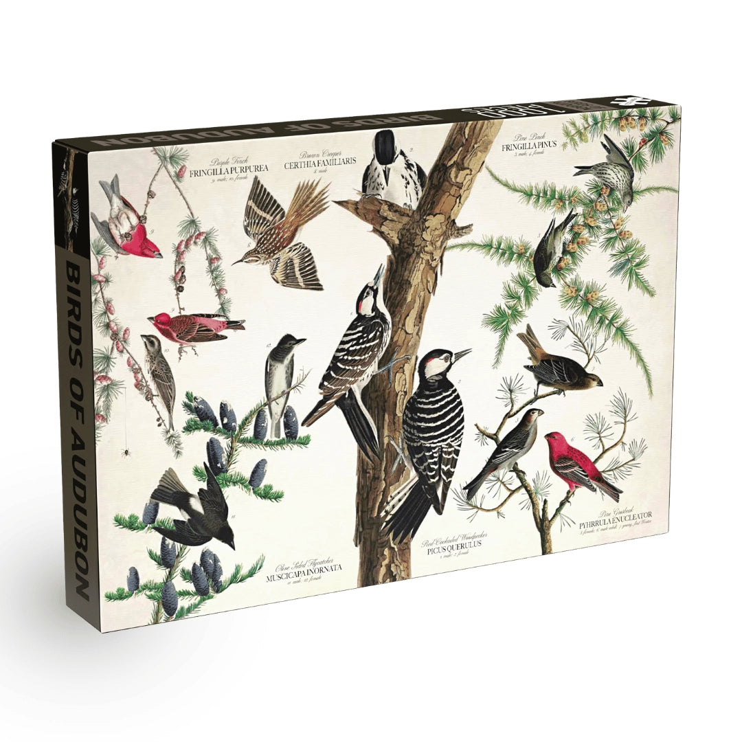 Birds of Audubon - Casse-tête de 1000 pièces