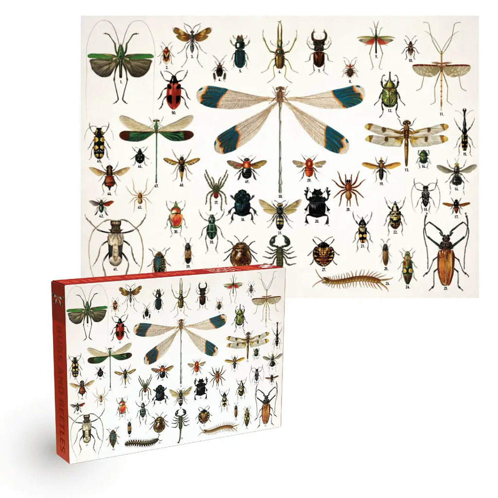 Bugs and Beetles 1000-Piece Puzzle