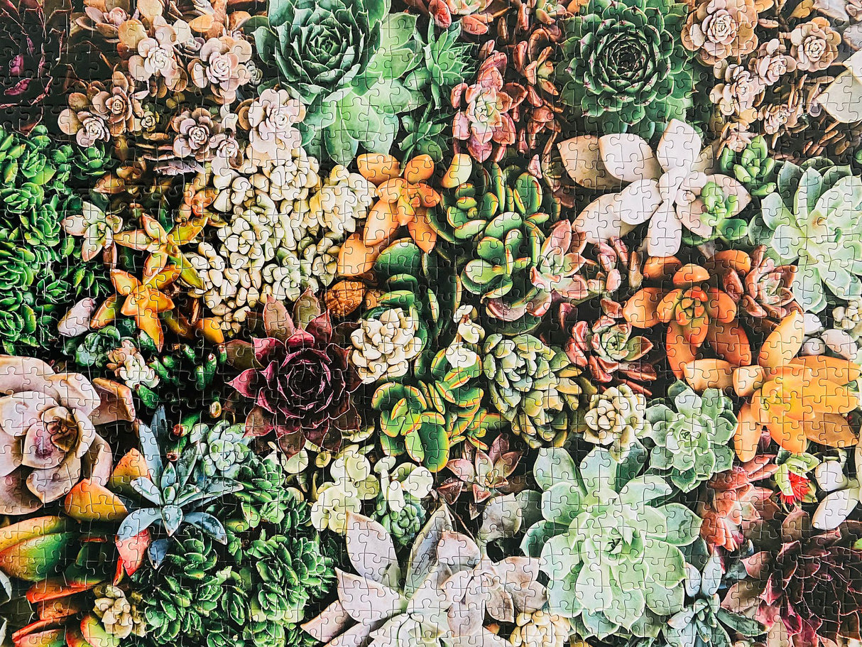 Desert Beauty - Casse-tête de 1000 pièces