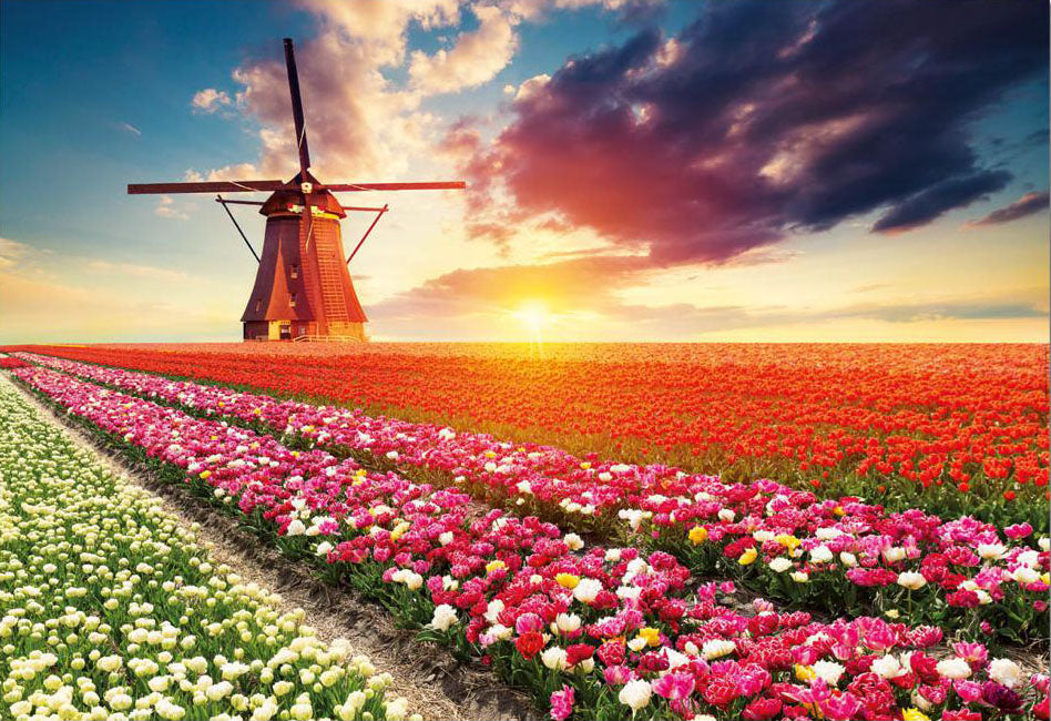 Tulips Landscape 1500-Piece Puzzle