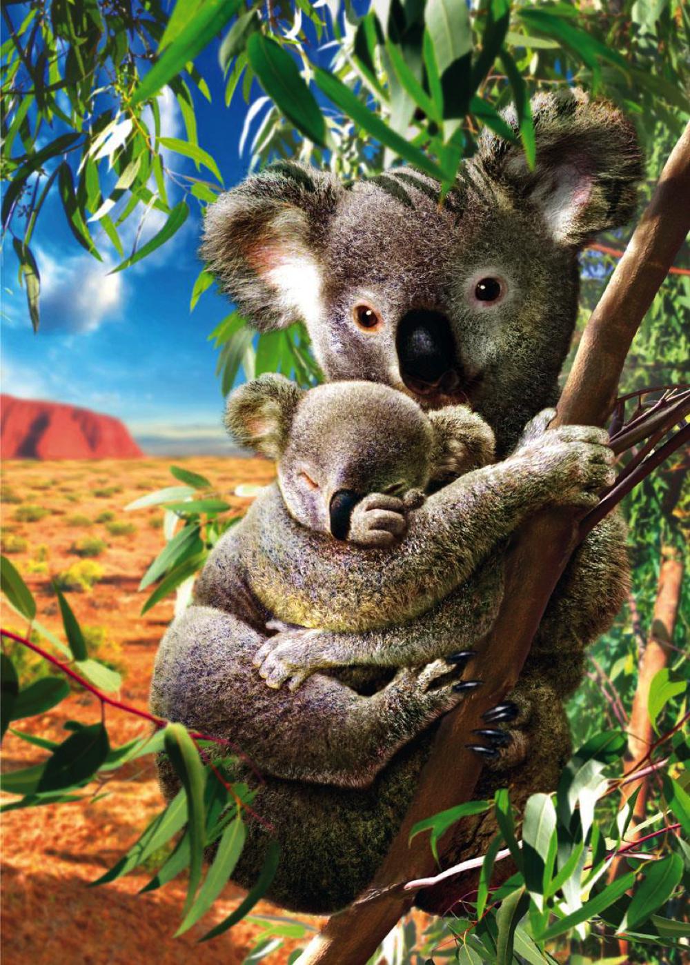 Maman koala & son bébé - Casse-tête de 500 pièces
