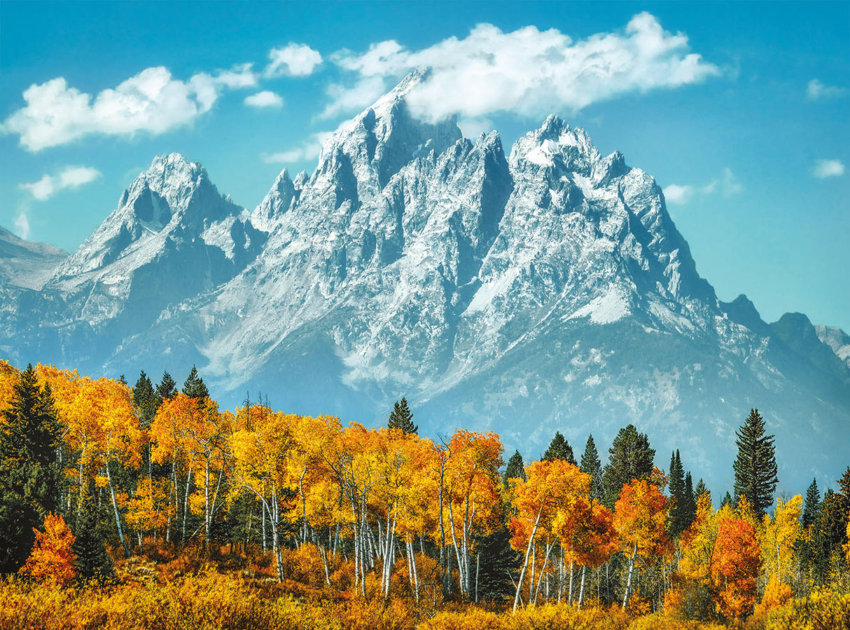Grand Teton en automne - Casse-tête de 500 pièces