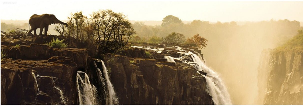 Éléphant - Casse-tête de 1000 pièces