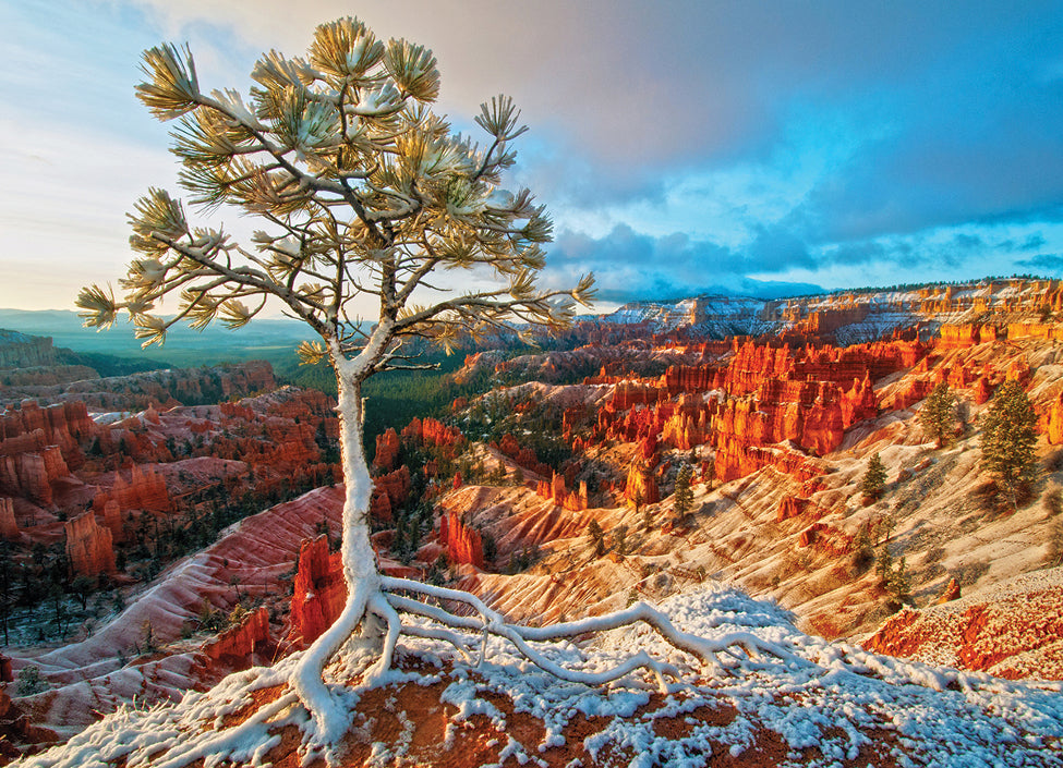Canyon en hiver - Casse-tête de 1000 pièces