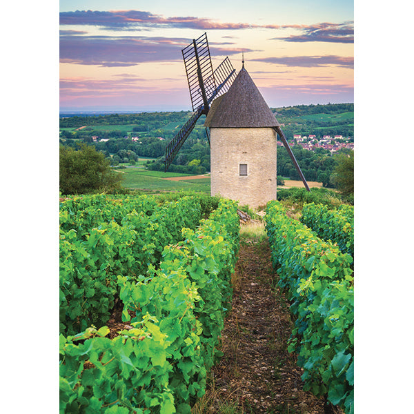Moulin Sorine,vignoble Santenay 1000-Piece Puzzle