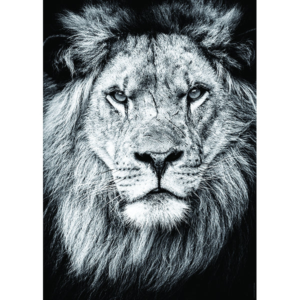 Portrait Royal 1000-Piece Puzzle