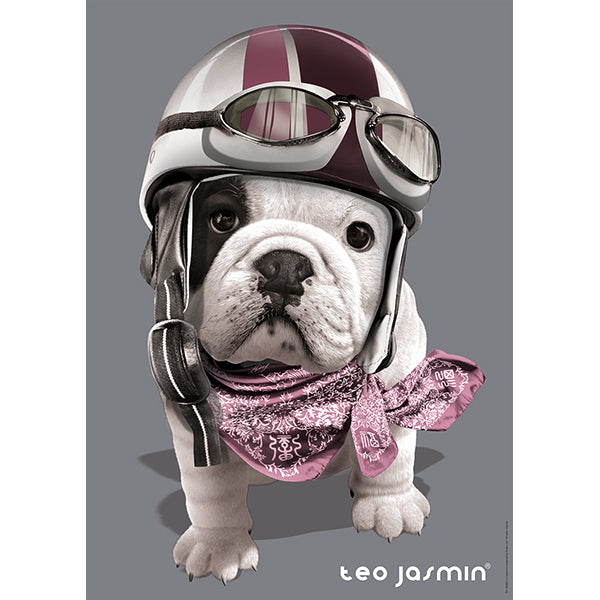 Teo Racing, Teo Jasmin 1000-Piece Puzzle