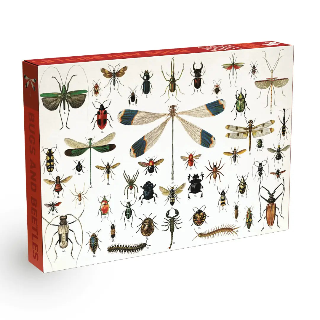 Bugs and Beetles 1000-Piece Puzzle