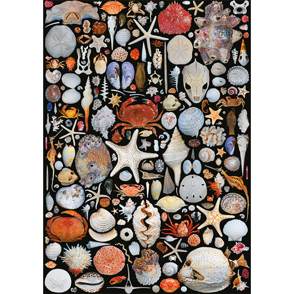 Flotsam 1000-Piece Puzzle