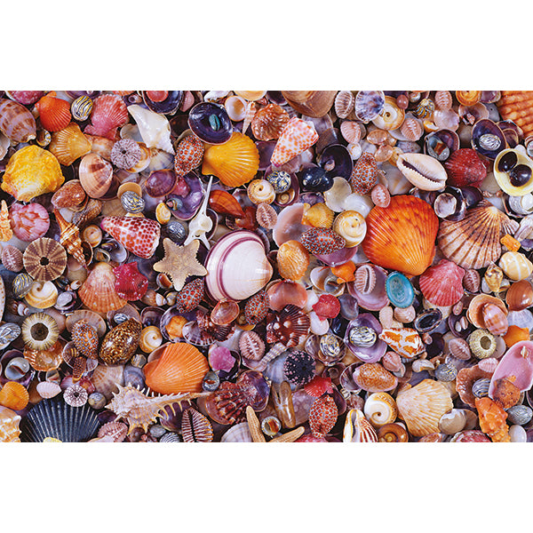 Sea Shells<br>Casse-tête de 1000 pièces 