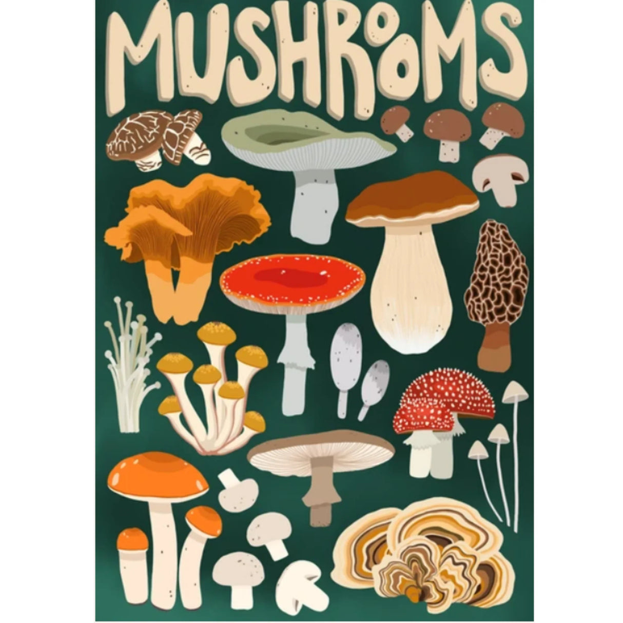 Mushroom Forager 1000-Piece Puzzle