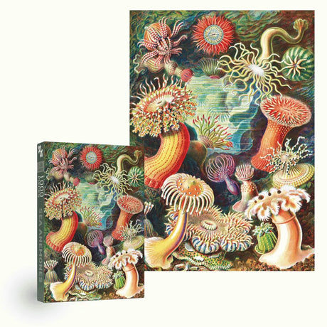 Sea Anemones 1000-Piece Puzzle