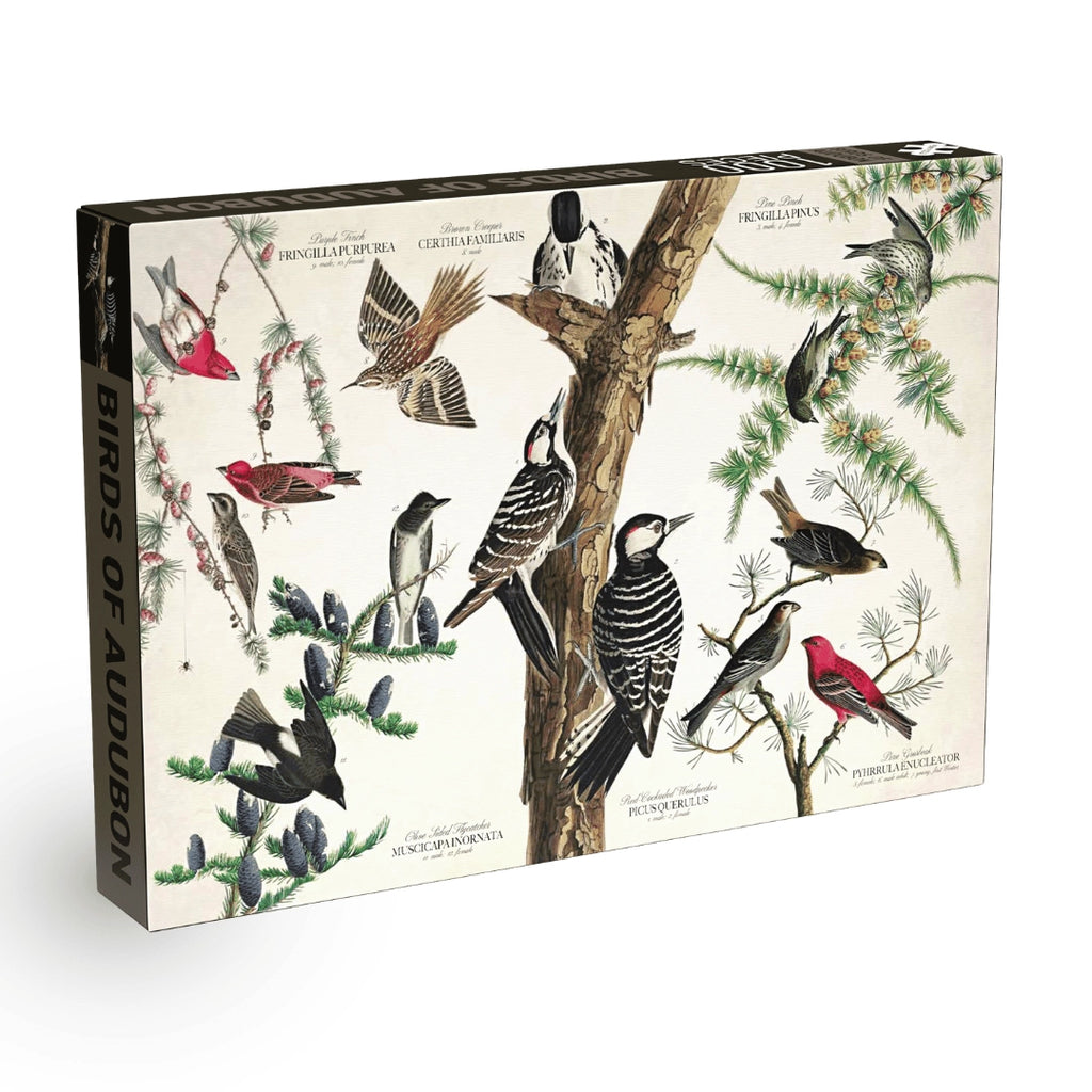 Birds of Audubon 1000-Piece Puzzle