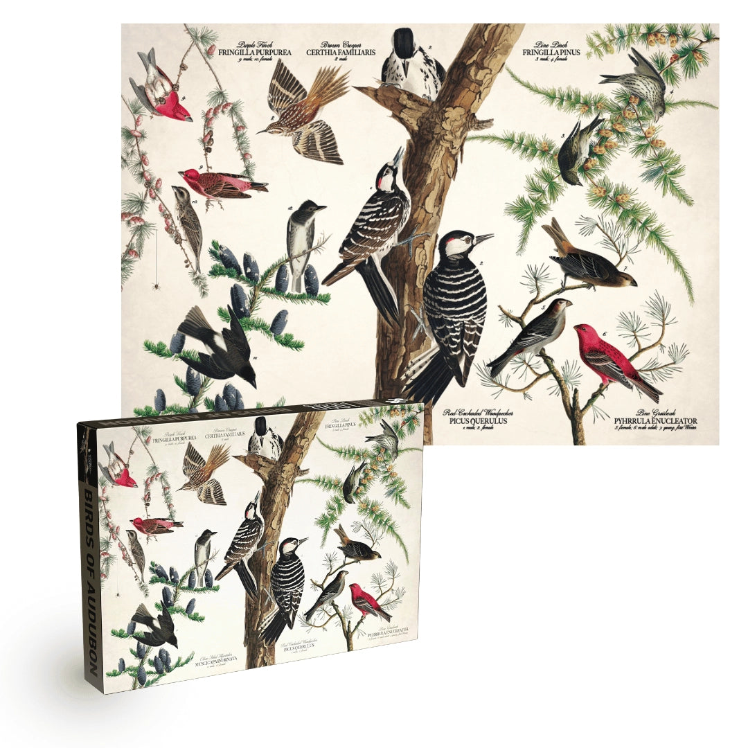 Birds of Audubon 1000-Piece Puzzle