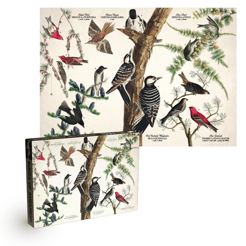 Birds of Audubon 1000-Piece Puzzle