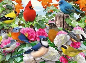 Garden Birds 500-Piece Puzzle