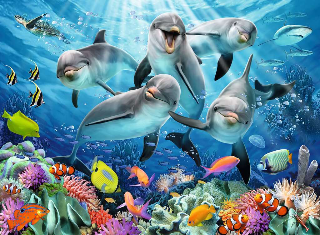 Dolphins in the Coral Reef 500-Piece Puzzle Old