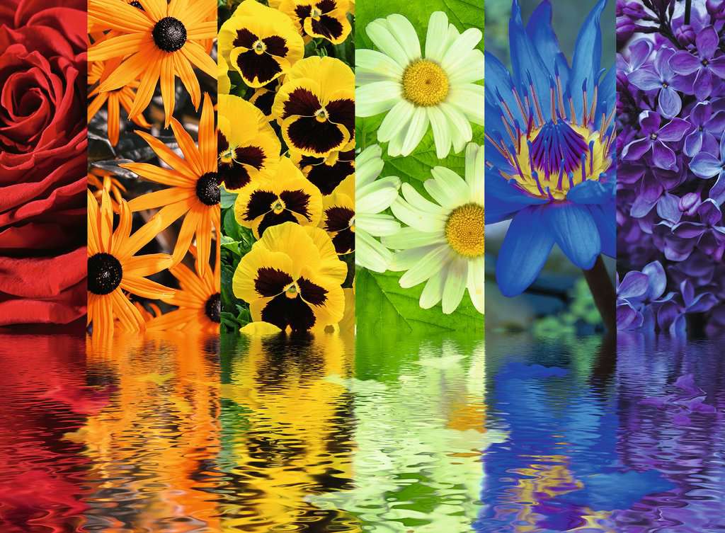 Floral Reflections 500-Piece Puzzle