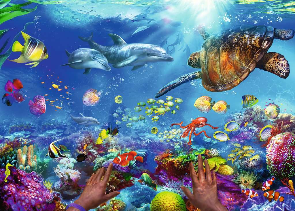 Snorkeling 1000-Piece Puzzle Old