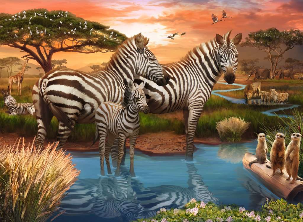 Zebra 500-Piece Puzzle Old