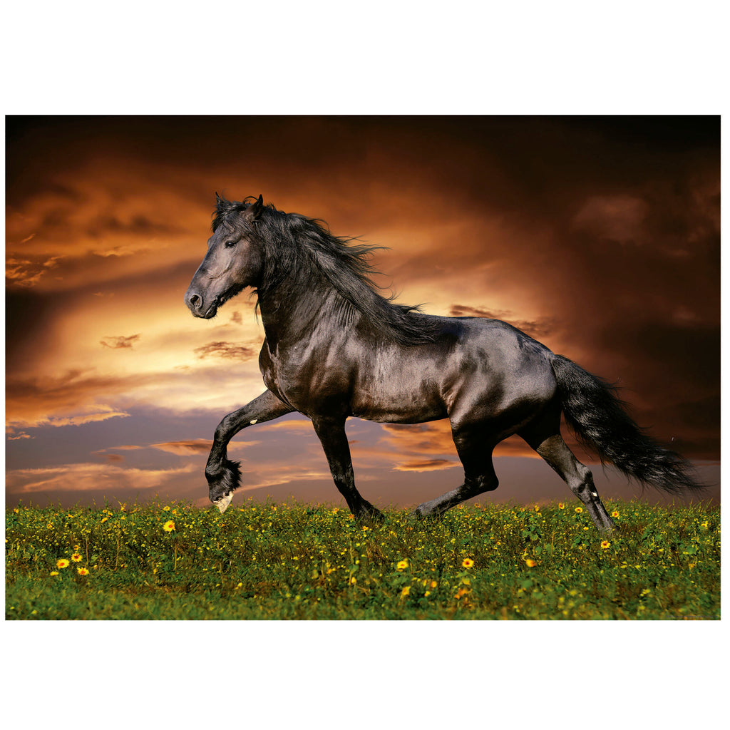 Trotting Horse<br>Casse-tête de 1000 pièces