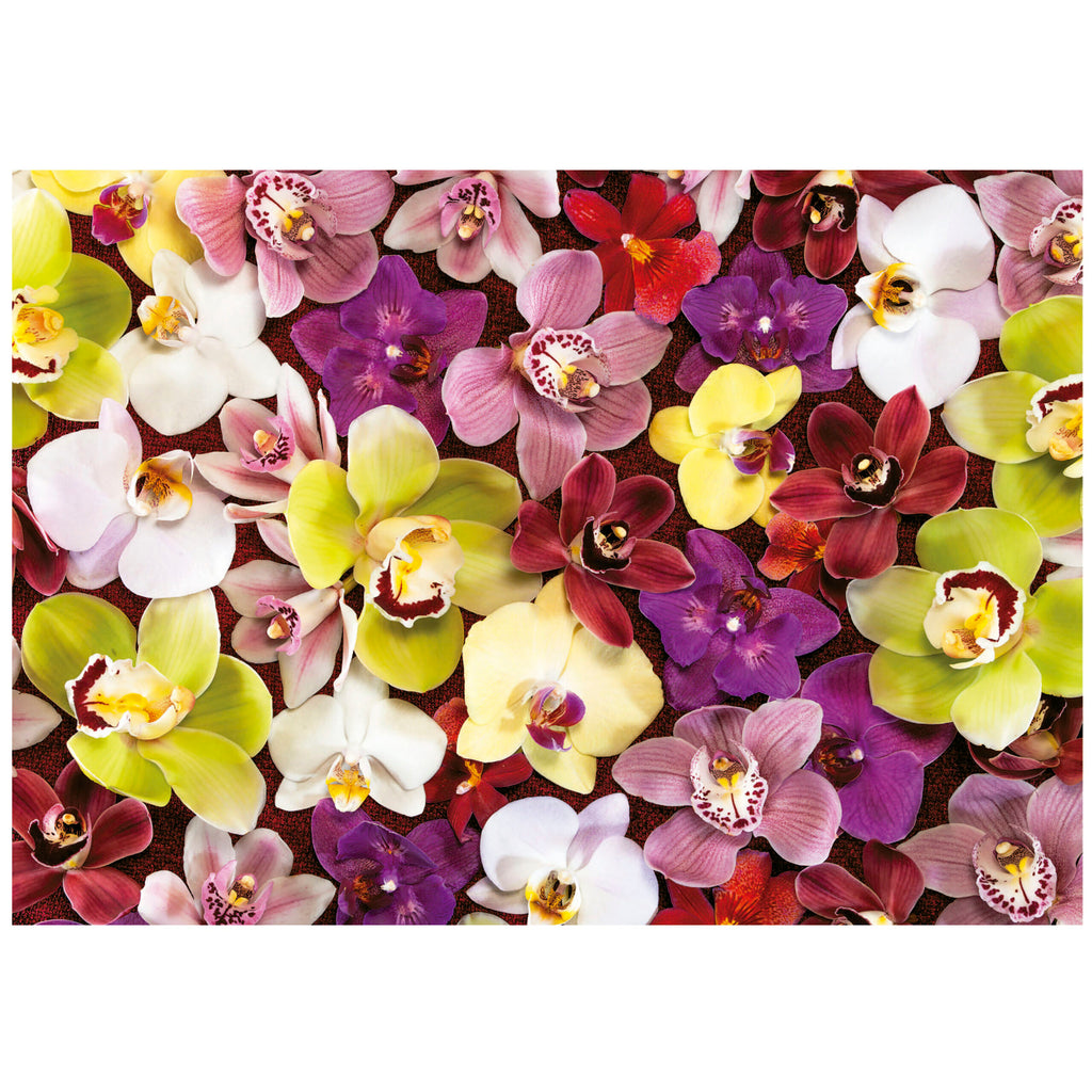 Orchid Collage 1000-Piece Puzzle