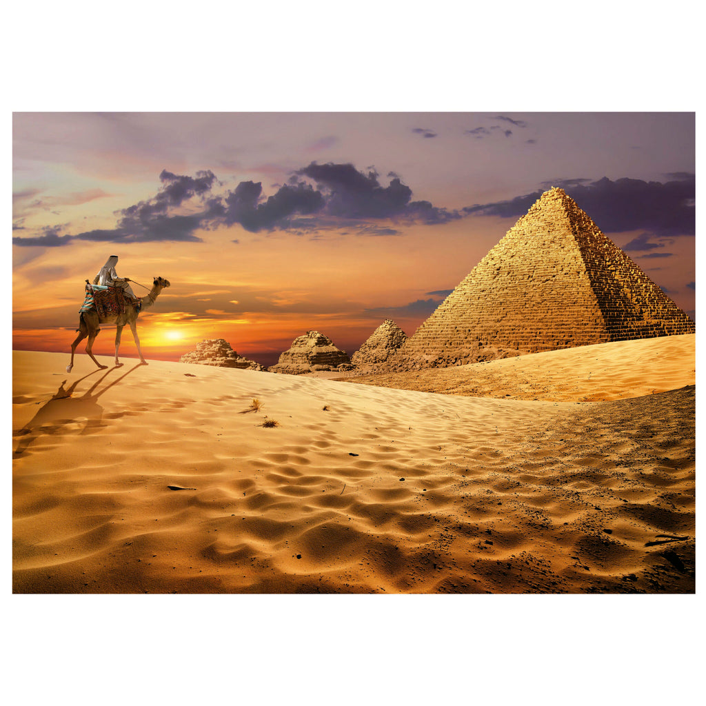 Camel In The Desert 1000-Piece Puzzle