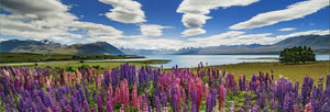 Lake Tekapo 1000-Piece Puzzle