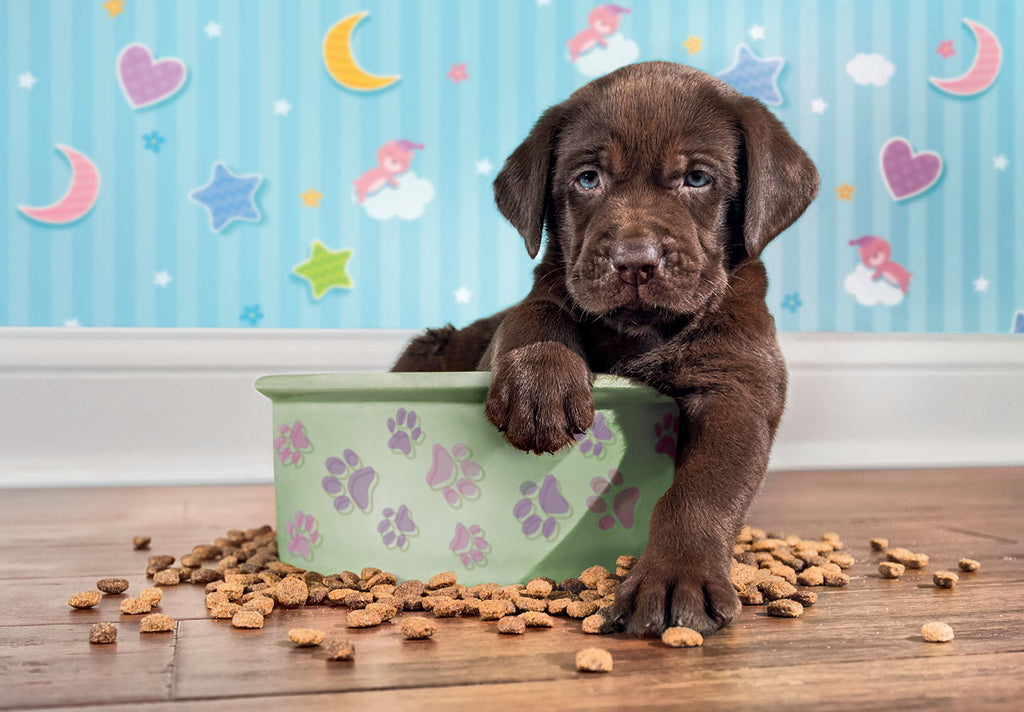 Lovely Puppy<br>180-Piece Puzzle