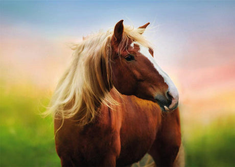 Horse at Sunrise 500-Piece Puzzle