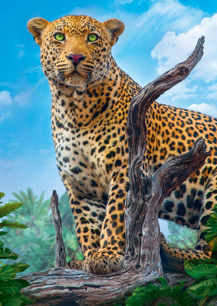 Wild Leopard 500-Piece Puzzle