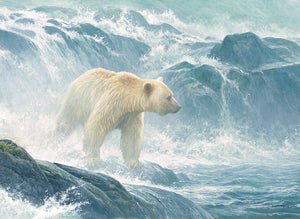 Salmon Watch - Spirit Bear 500-Piece Puzzle