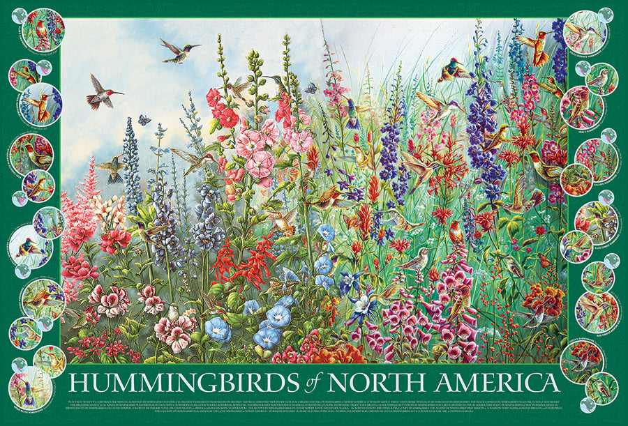 Hummingbirds of North America<br >Casse-tête de 2000 pièces