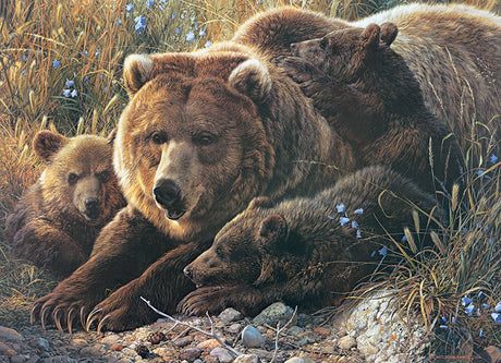 Famille de grizzlis - Casse-tête de 350 pièces