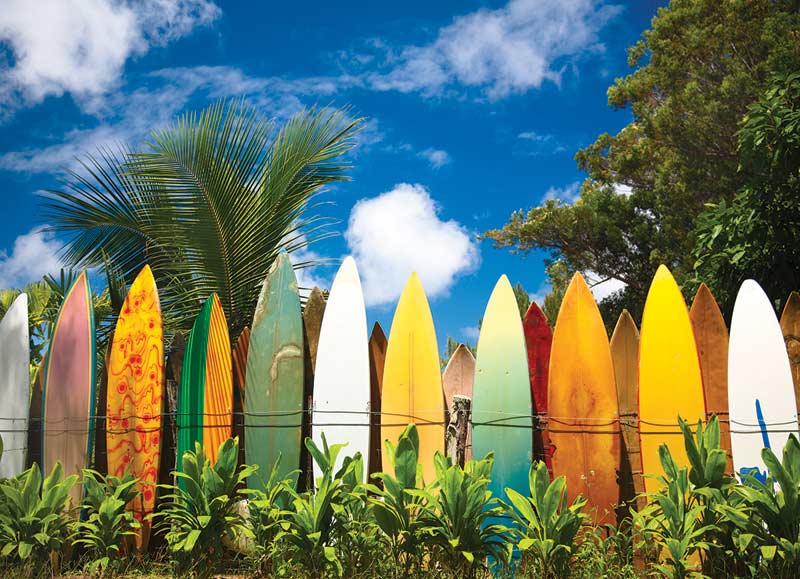 Surfer's Paradise Hawaii<br>Casse-tête de 1000 pièces