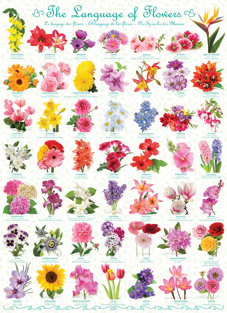 The Language of Flowers 1000-Piece Puzzle