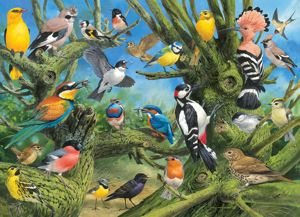 Garden Birds - Francis 1000-Piece Puzzle