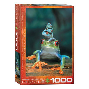 Red-Eyed Tree Frog 1000-Piece Puzzle