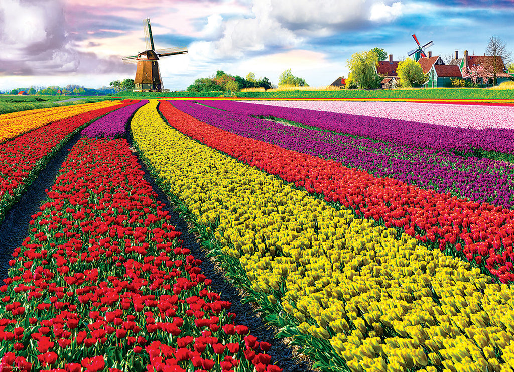 Champ de tulipes - Pays-Bas<br>Casse-tête de 1000 pièces