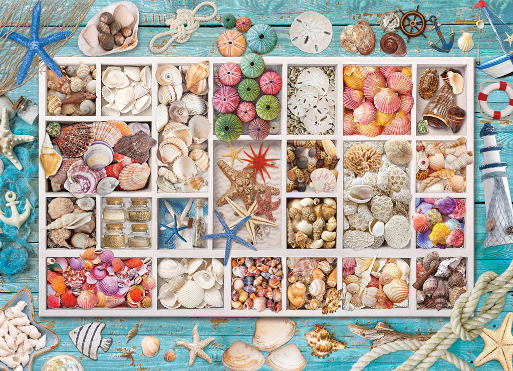 Seashell Collection 1000-Piece Puzzle