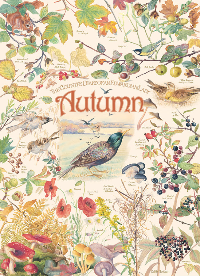 Country Diary Autumn 1000-Piece Puzzle