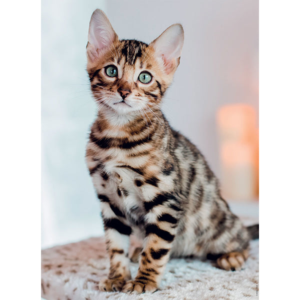 Chaton Bengal 500-Piece Puzzle