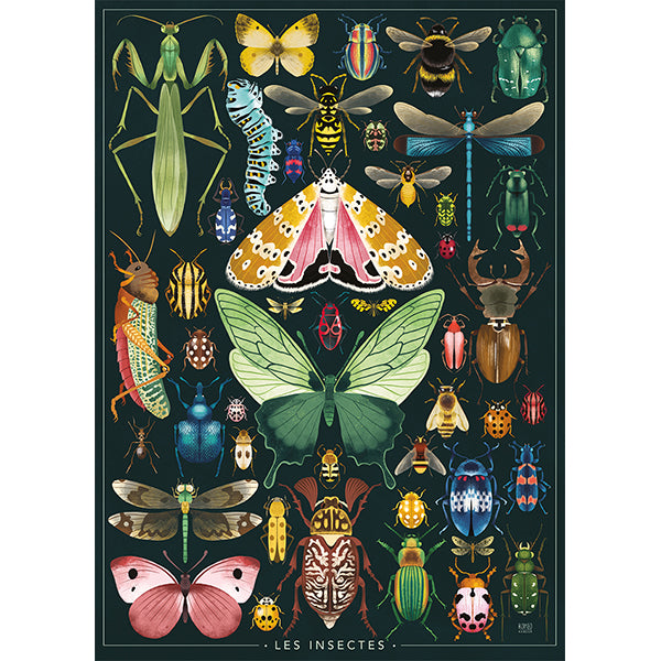 Les insectes, Rebecca Romeo 1000-Piece Puzzle