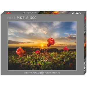 Cloudberries, AvH 1000-Piece Puzzle