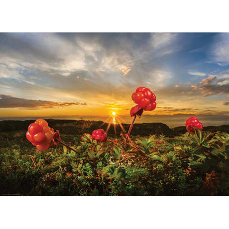 Cloudberries, AvH 1000-Piece Puzzle